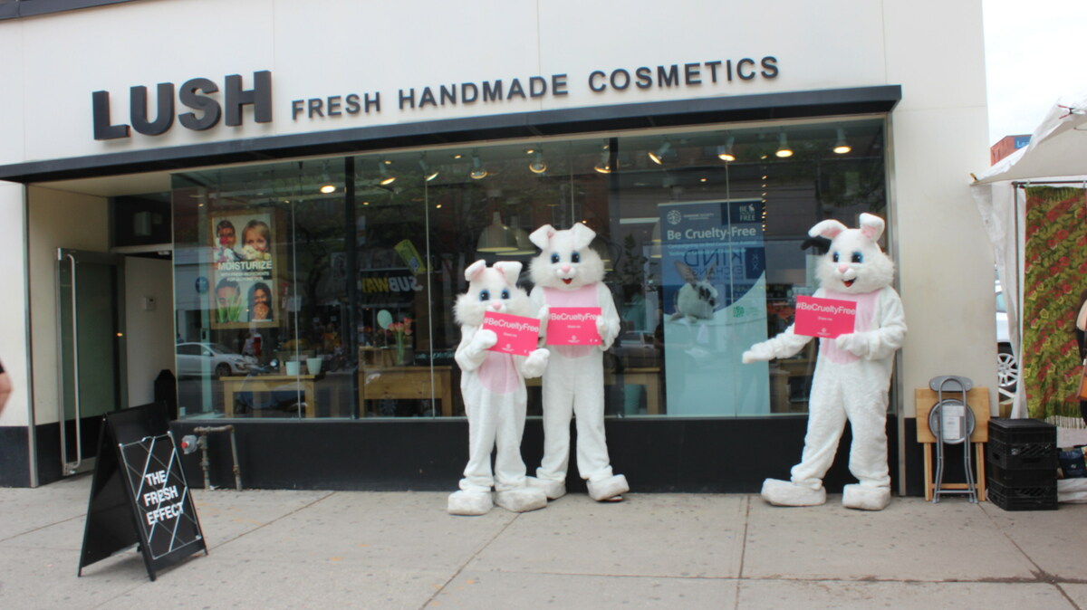 Image representing Lush Cosmetics' ethical and handmade beauty, perhaps showing colorful bath bombs or fresh ingredients.